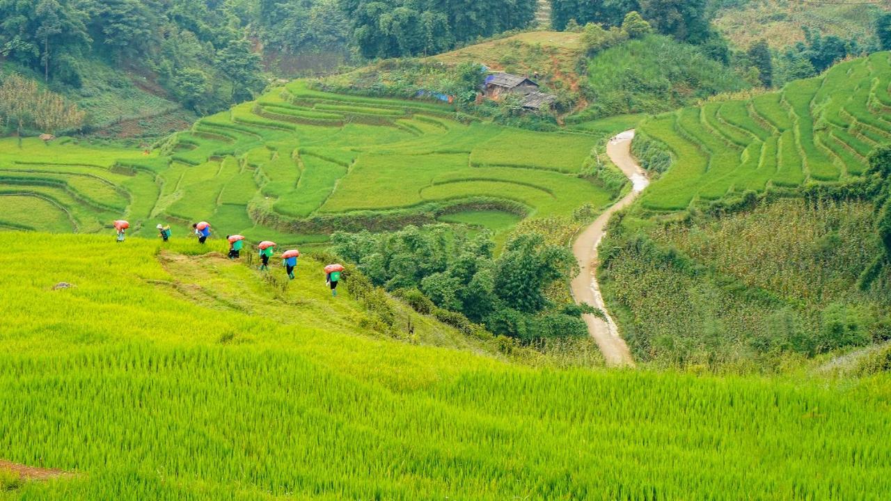 Sapa Fantasea Homestay Exterior foto